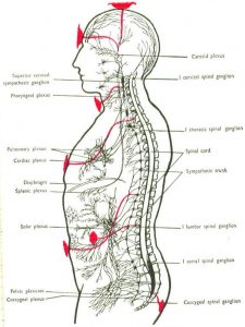 Connection of Chakras