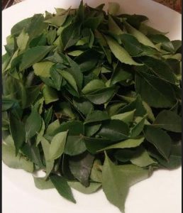 Read more about the article Remarkable Secrets of Curry Leaves