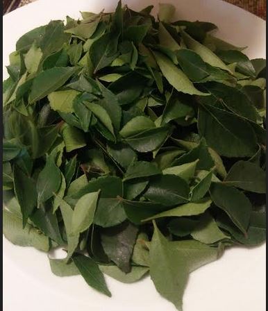 You are currently viewing Remarkable Secrets of Curry Leaves