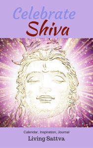 Read more about the article From Darkness to Light with Shiva