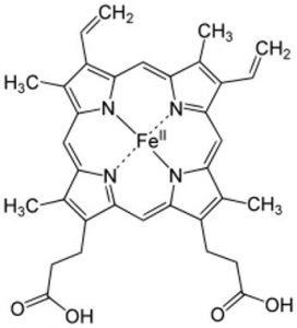 Read more about the article Iron-rich Sattvic foods