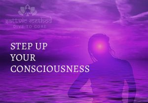 Read more about the article Step up your consciousness