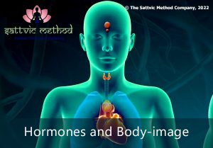 Read more about the article Hormones and Body-image