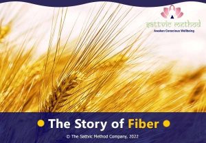 Read more about the article The Story of Fiber