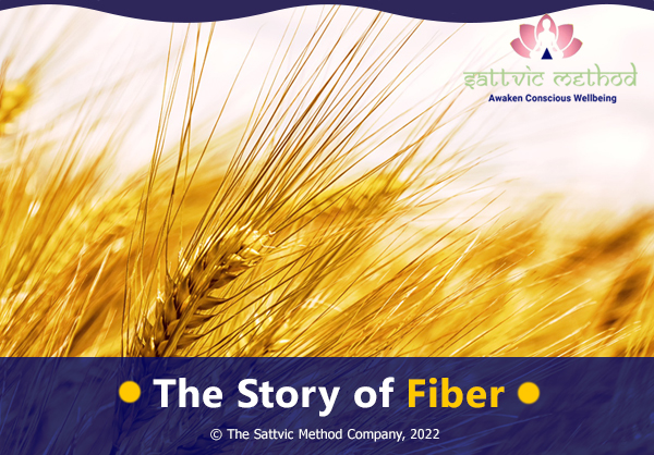 You are currently viewing The Story of Fiber
