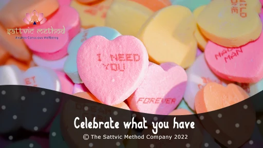 You are currently viewing Celebrate what you have