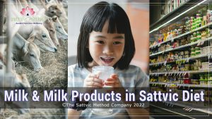 Read more about the article Milk & Milk Products in Sattvic Diet