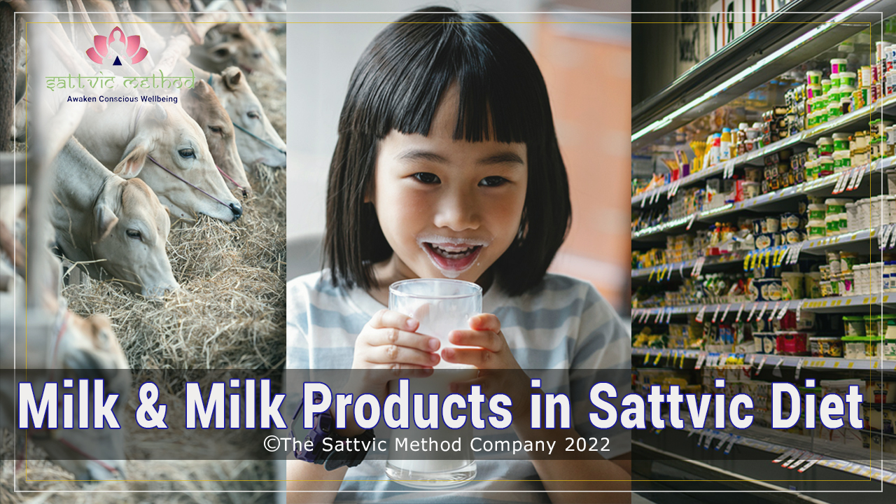 Milk & Milk Products In Sattvic Method!