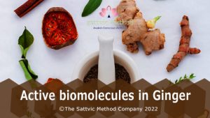 Read more about the article Active biomolecules in Ginger
