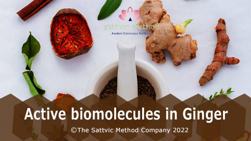 Active biomolecules in Ginger