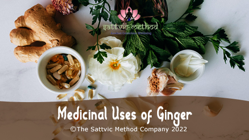 Medicinal Uses of Ginger