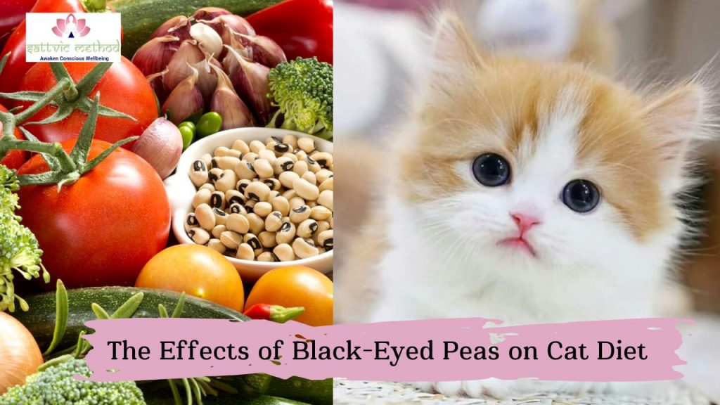 Black Eyed Peas in Cat Diet Safe or Potentially Harmful