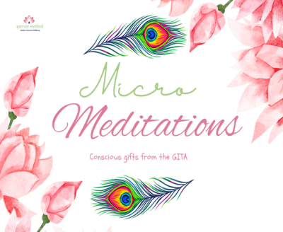 Gita Micro Meditations