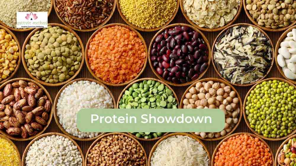 Legume-Showdown-1536x864 (1)