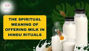 Read more about the article Spiritual Meaning of Milk Offerings