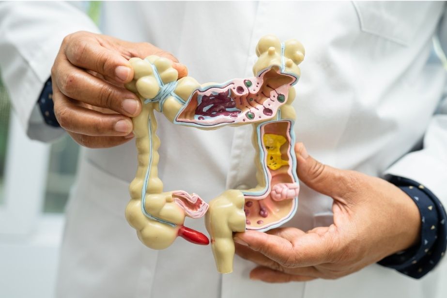 Introduction-to-Sattvic-Gut-Health