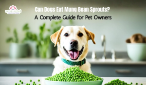 Read more about the article Dogs Eating Mung Bean Sprouts