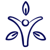 holistic wellness and energy alignment